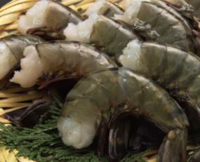 food81.jpg food81.jpg