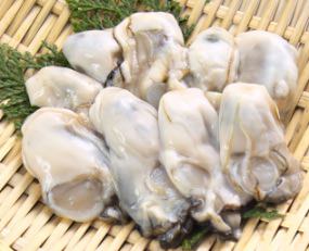 food41.jpg food41.jpg